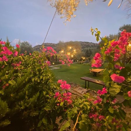 Suzi'Nin Bahcesi Bungalov Evler Datça Exteriér fotografie