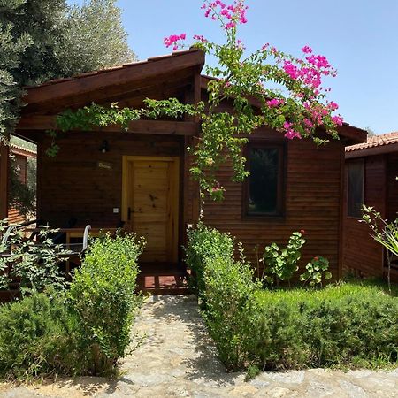 Suzi'Nin Bahcesi Bungalov Evler Datça Exteriér fotografie