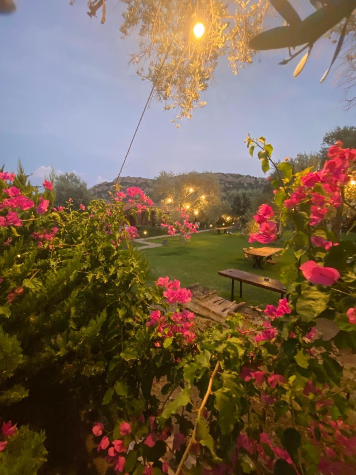 Suzi'Nin Bahcesi Bungalov Evler Datça Exteriér fotografie