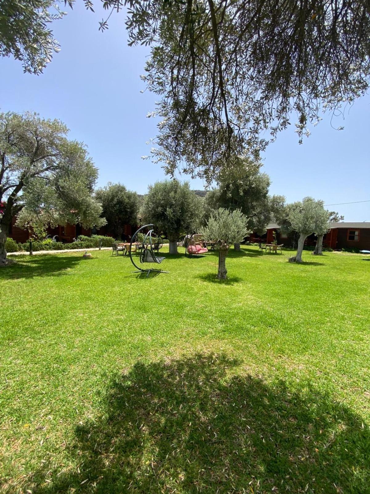 Suzi'Nin Bahcesi Bungalov Evler Datça Exteriér fotografie