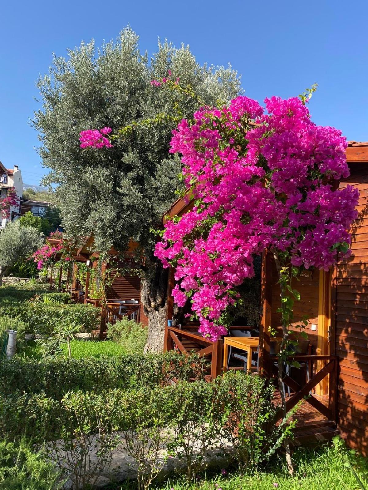 Suzi'Nin Bahcesi Bungalov Evler Datça Exteriér fotografie